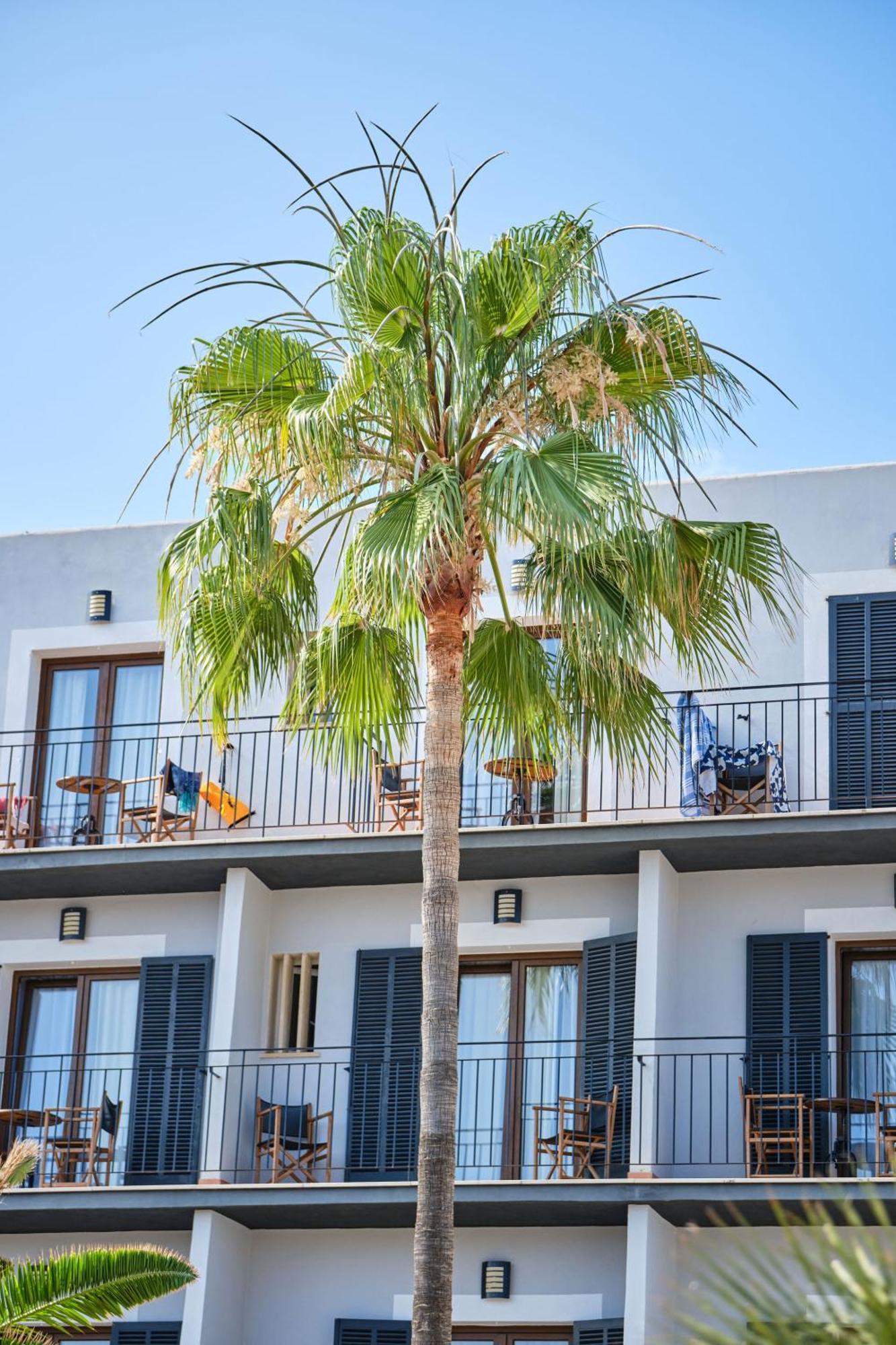 Boutique Bon Repos - Adults Only Santa Ponça